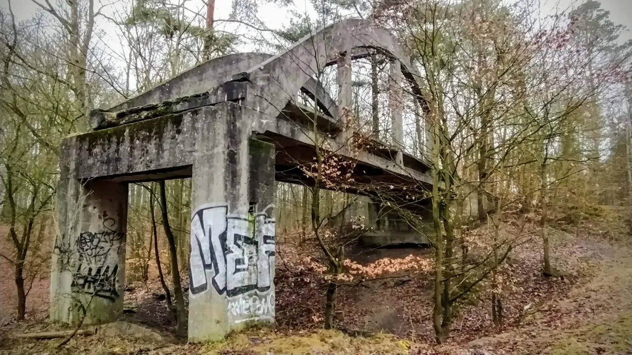 Uroczysko Mosty Puszcza Bukowa