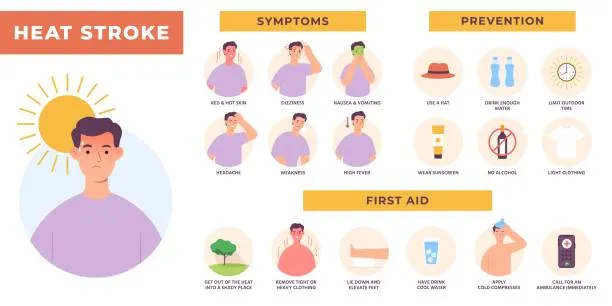 objawy udaru słonecznego infografika