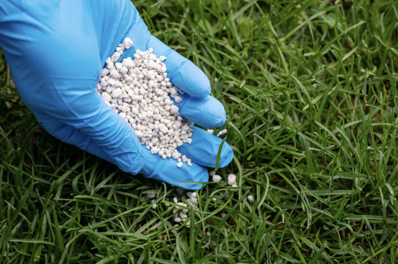 Azofoska i Polifoska na trawnik porównanie