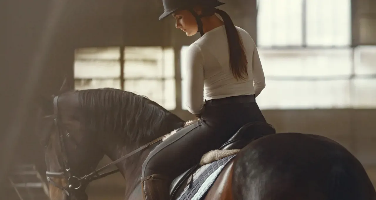 Wz&oacute;r umowy dzierżawy konia