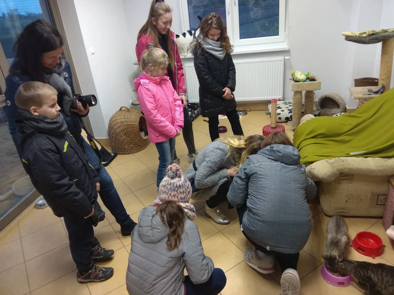 dzieci pomagające w schronisku