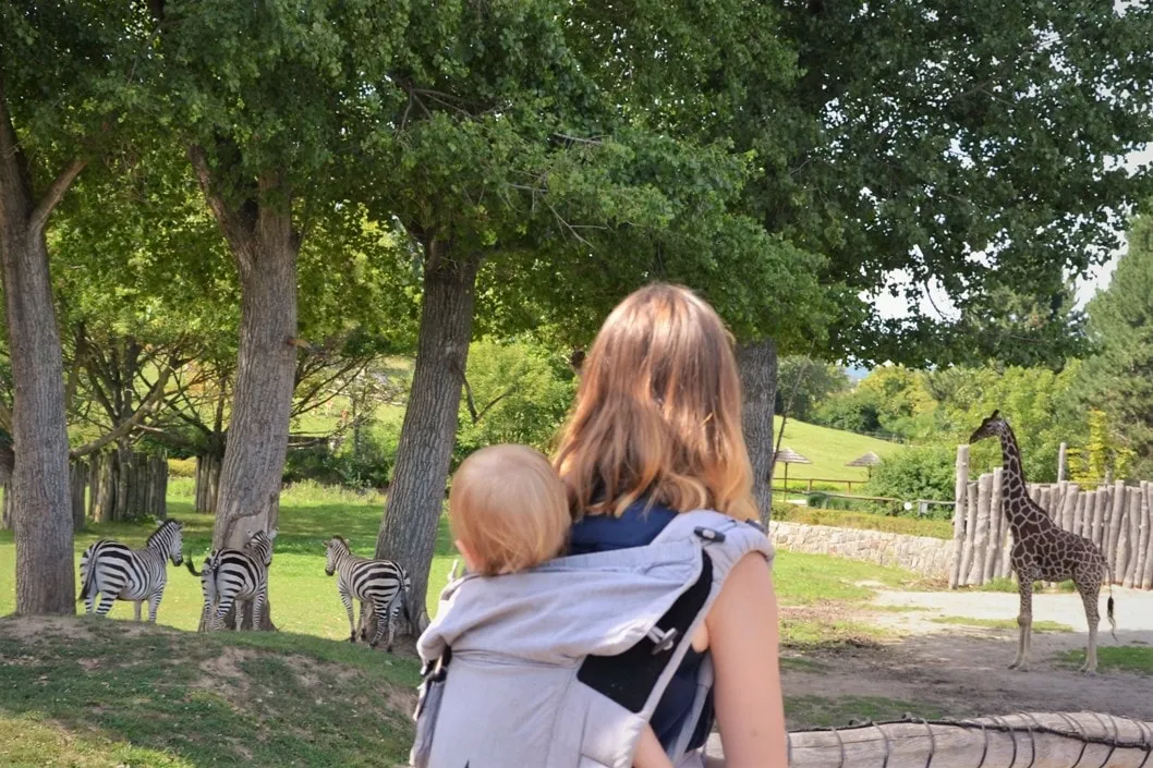 roczne dziecko w ogrodzie zoologicznym ogląda zwierzęta