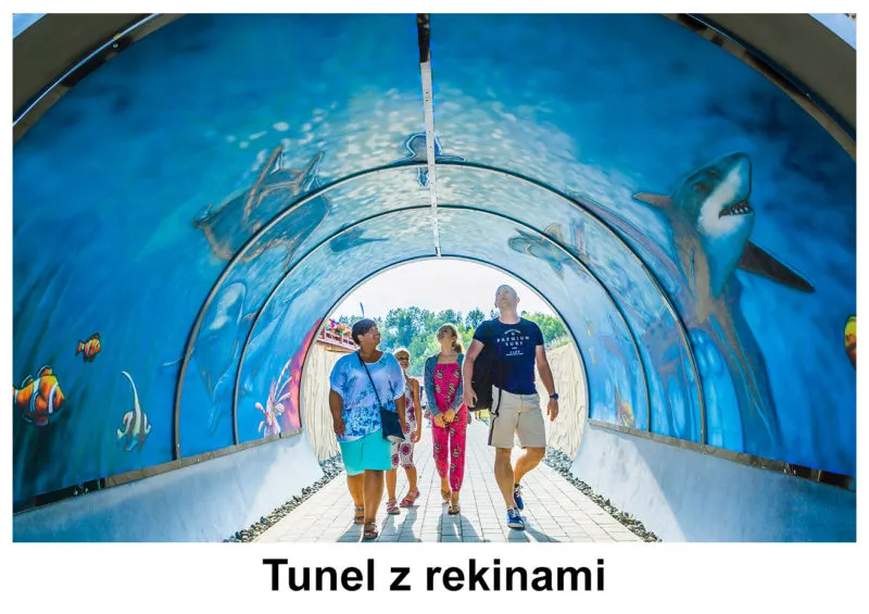 Władysławowo Ocean Park rekiny