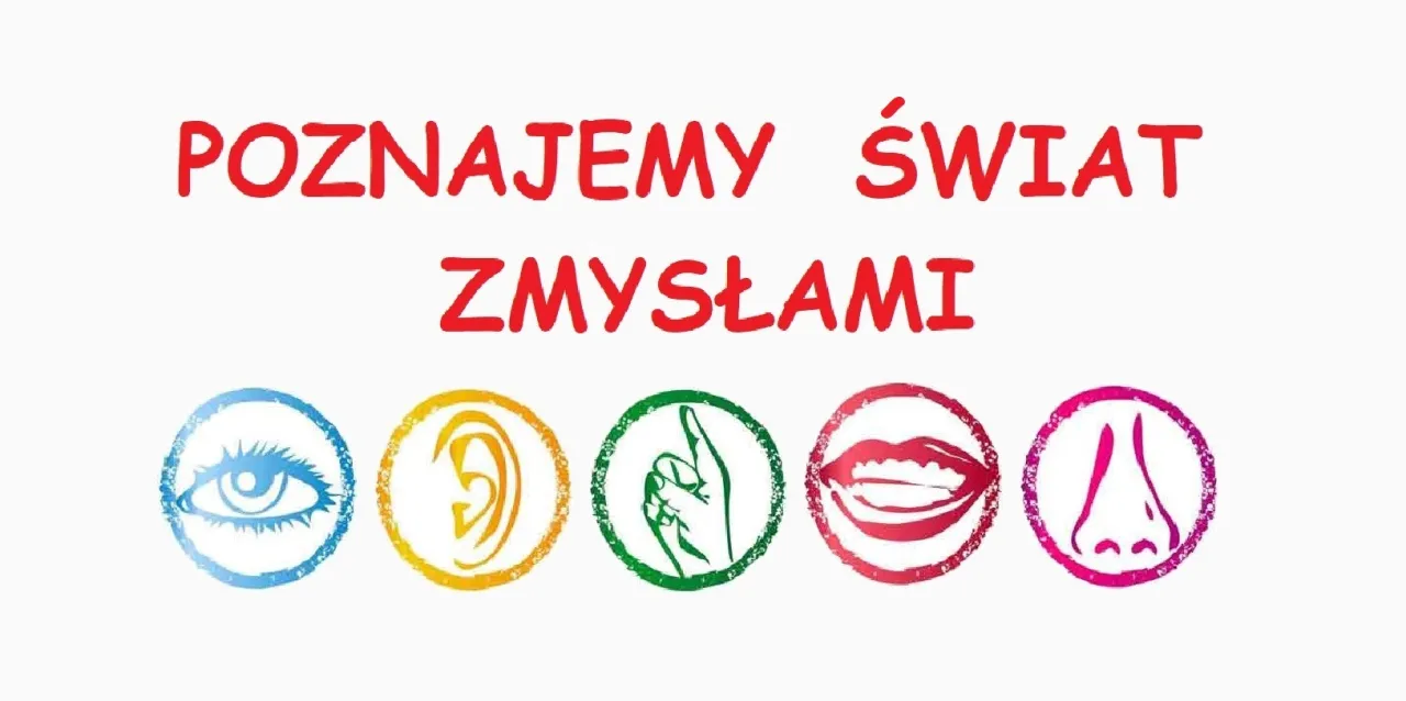 dziecko poznaje świat zmysłami