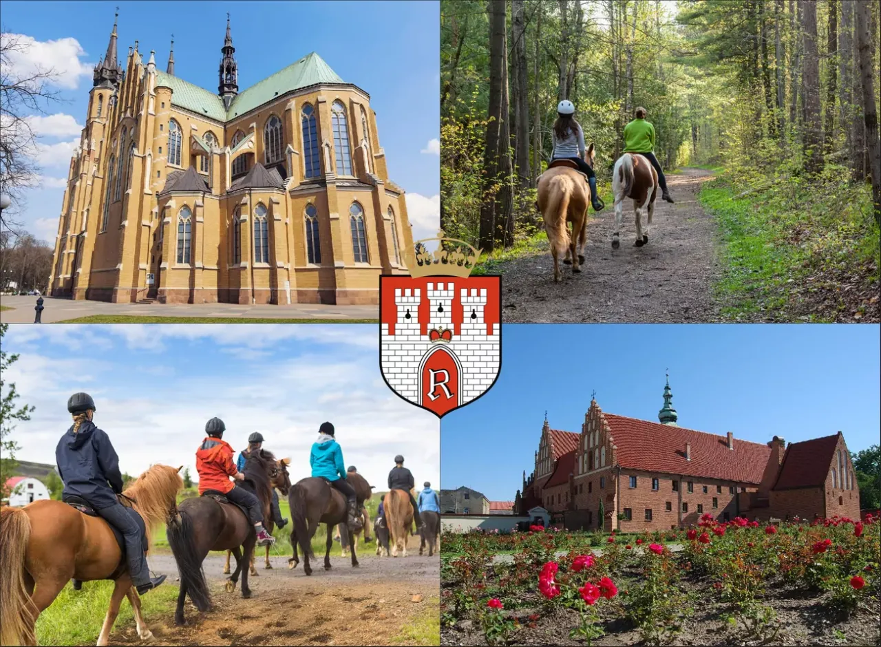 Nauka jazdy konnej Hestia Radom