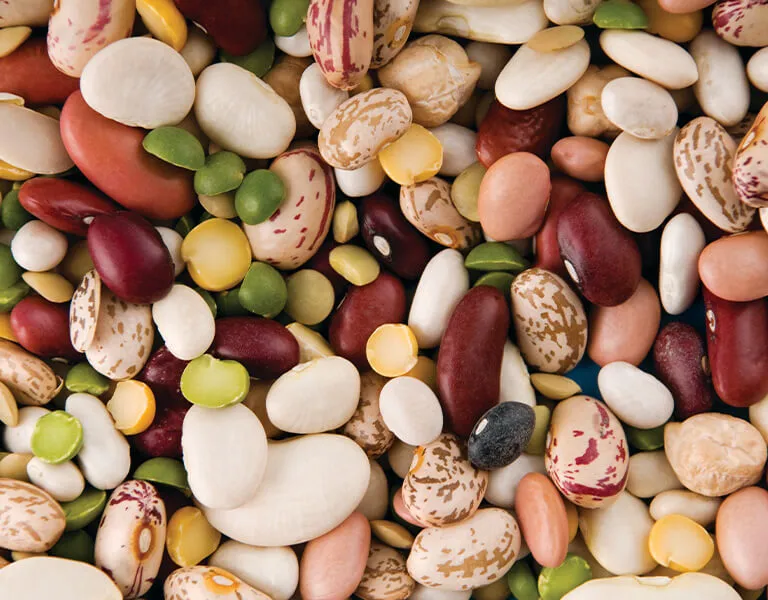 r&oacute;żne rodzaje fasoli do zupy