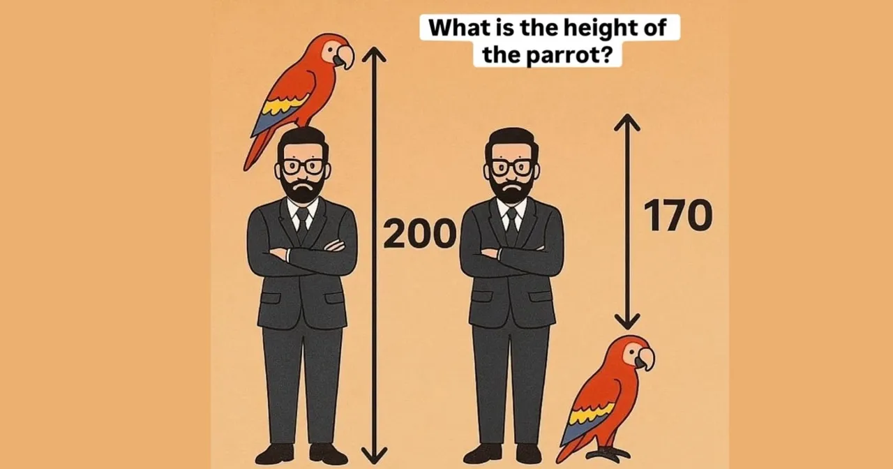 Inteligentna papuga rozwiązująca zagadkę