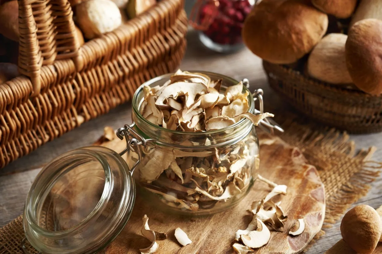 fotowoltaika suszenie grzybów