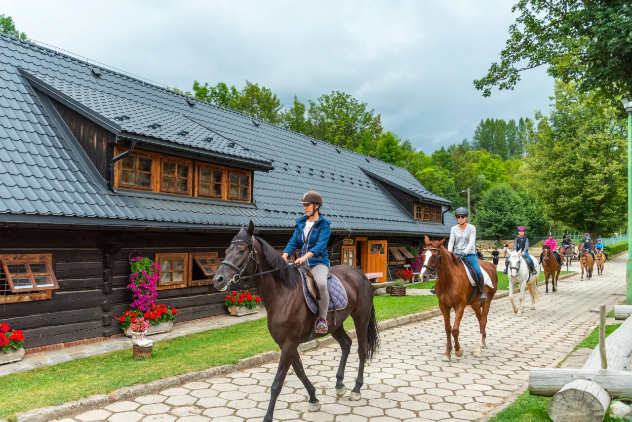 Stadnina koni Ruda Śląska