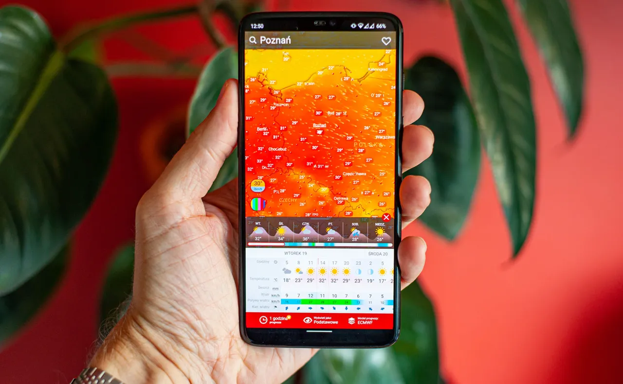 Dłoń trzyma smartfon z aplikacją pogodową pokazującą mapę Polski z temperaturami. Idealne narzędzie, gdzie sprawdzać pogodę w g&oacute;rach przed wyjazdem.