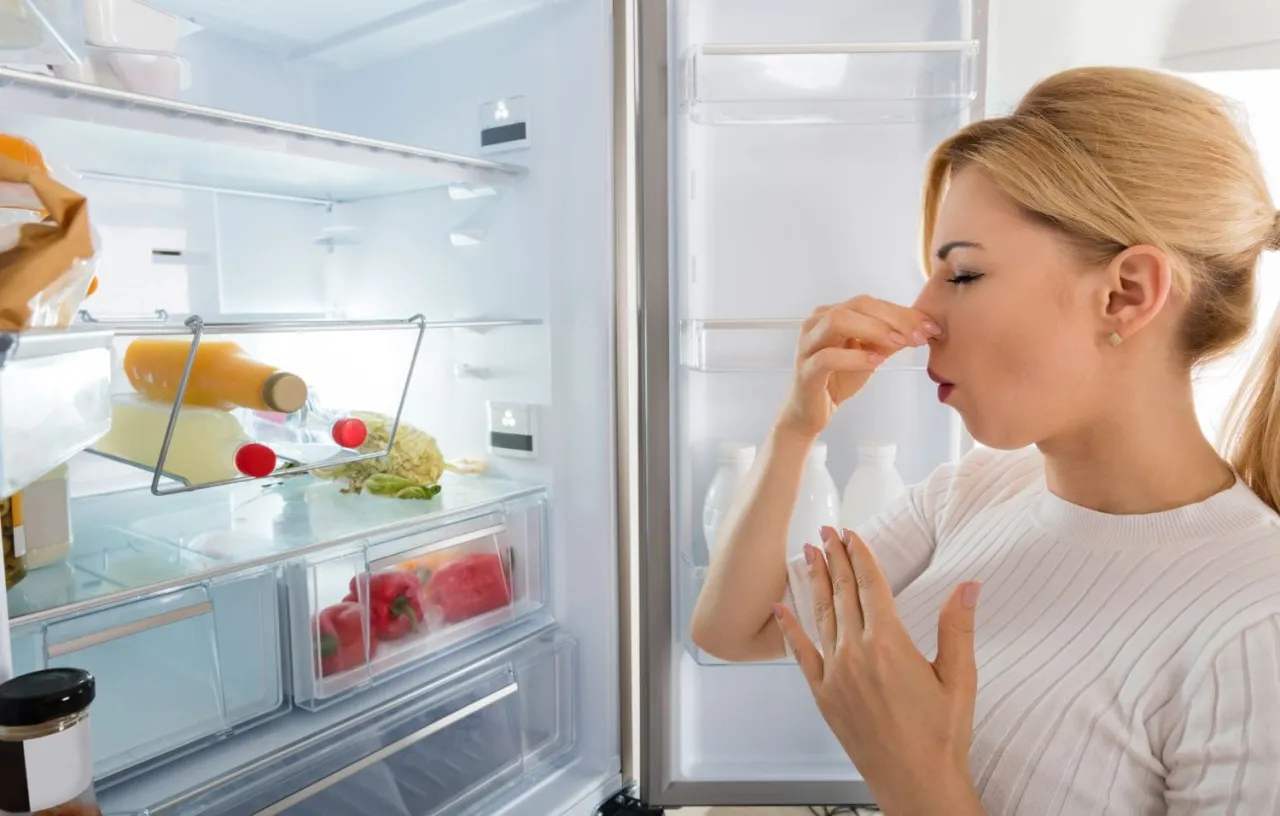 Jak usunąć zapach z lod&oacute;wki krok po kroku