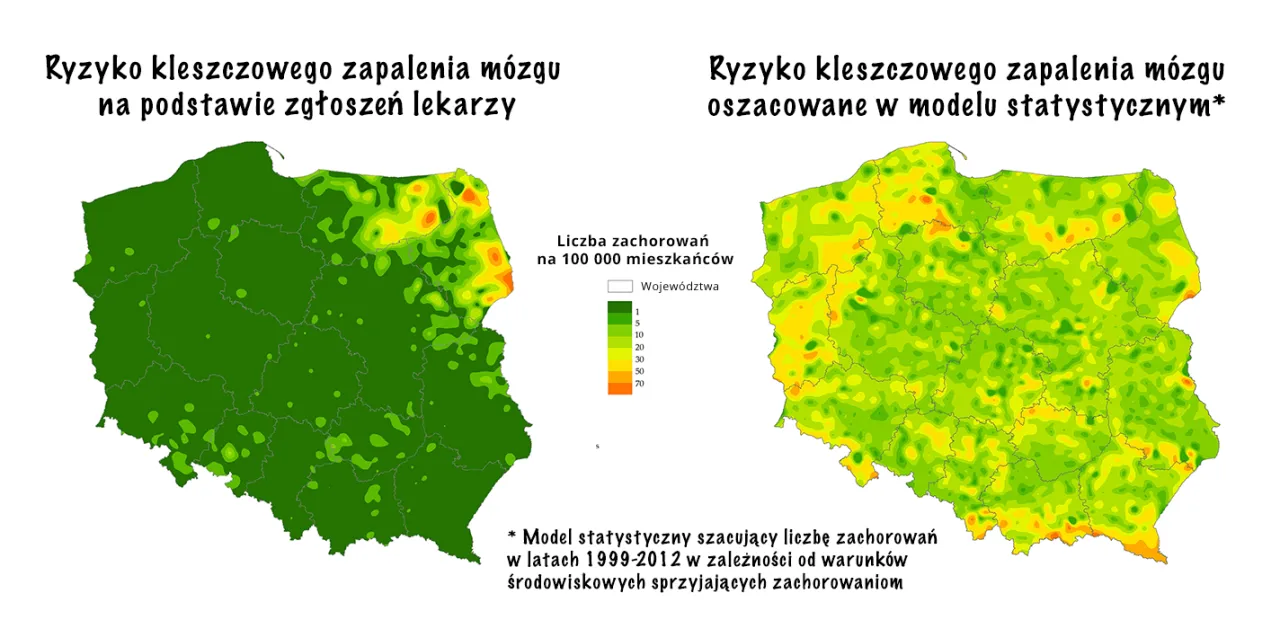 Mapa występowania kleszczy w Polsce, obszary endemiczne KZM i boreliozy