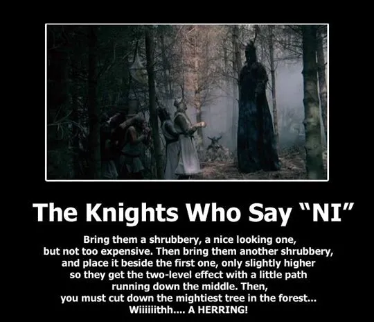 Monty Python cytaty memy