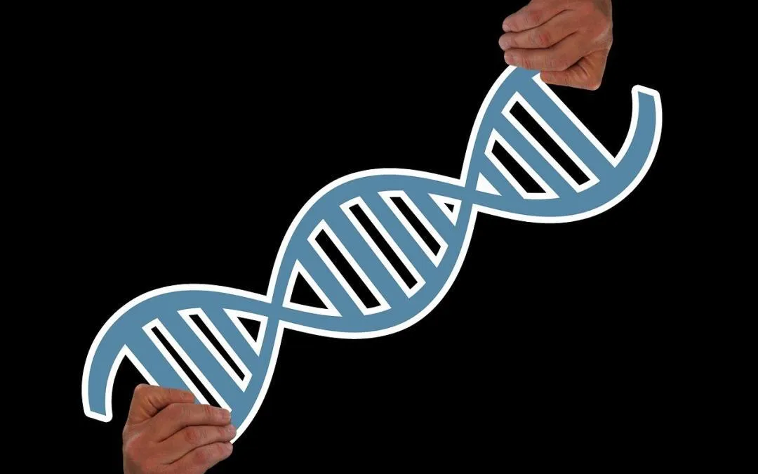 genetyka i środowisko zdrowie psychiczne