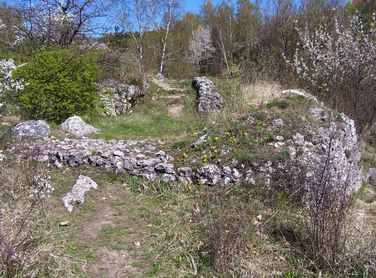 Skała Zamkowa Dolina Kluczwody, ruiny zamku Kluczwoda