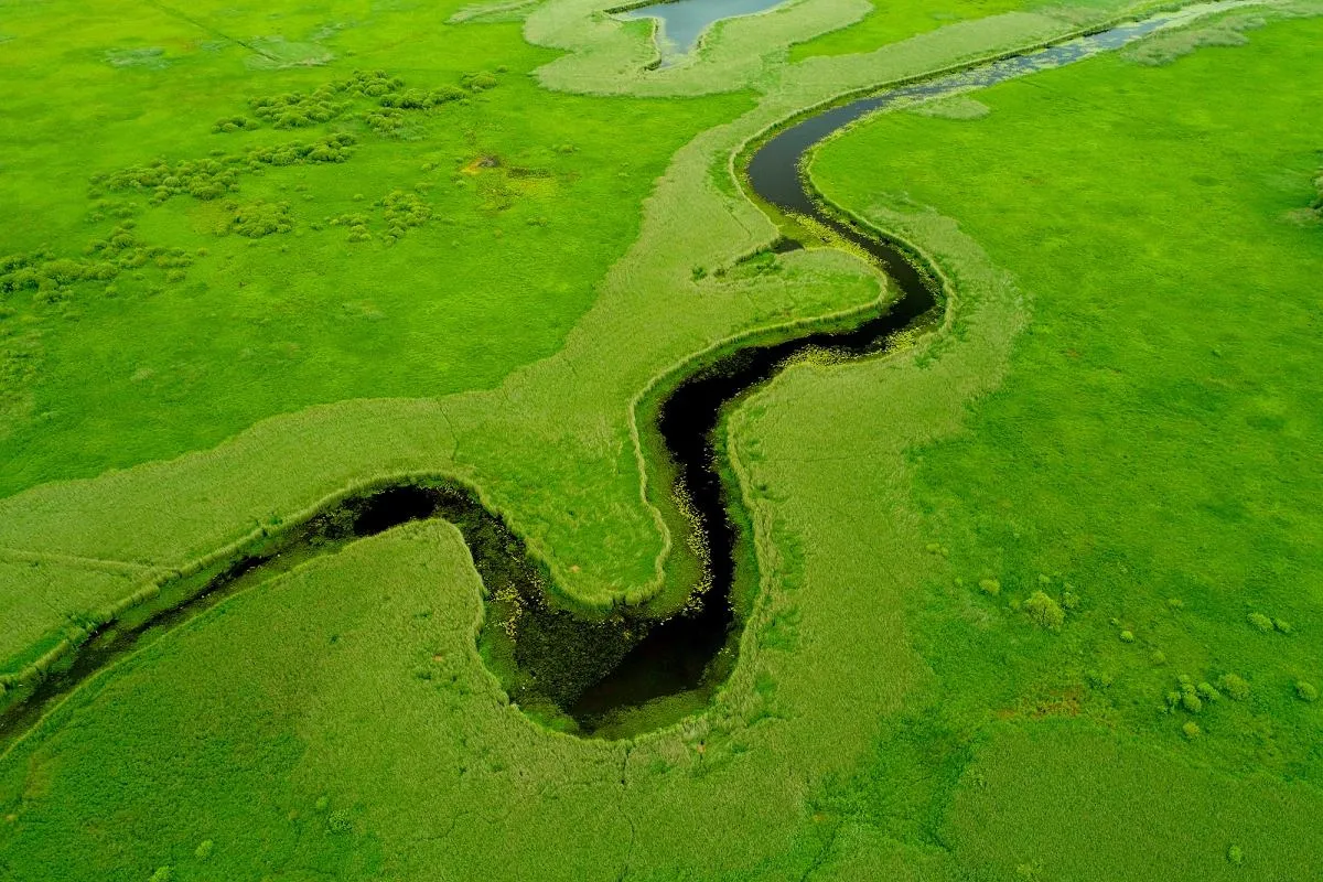 Szczecin Międzyodrze widok z lotu ptaka