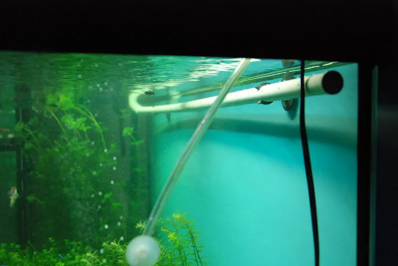 deszczownica akwariowa montaż nad wodą i pod wodą