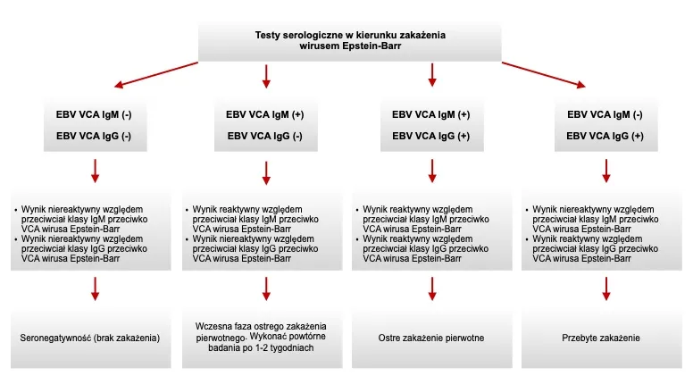 schemat diagnostyki laboratoryjnej mononukleozy