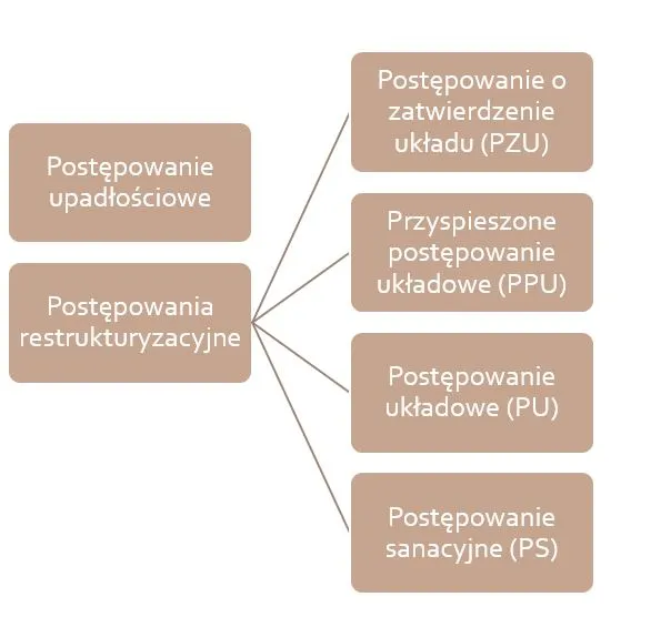 Rodzaje postępowań restrukturyzacyjnych schemat