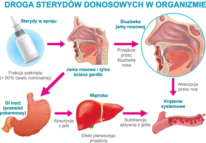 steryd donosowy mechanizm działania