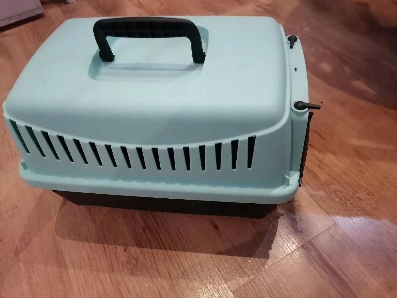 jak przygotować transporter dla szczura do podr&oacute;ży