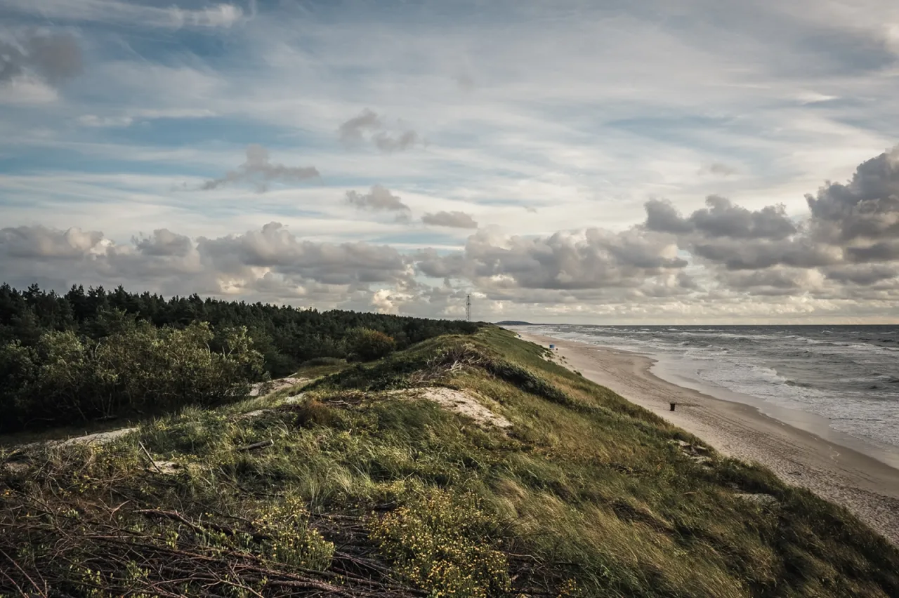 Krajobraz wydmowy z lasem sosnowym i piaszczystą plażą nad Bałtykiem. Tak, Litwa ma dostęp do morza.