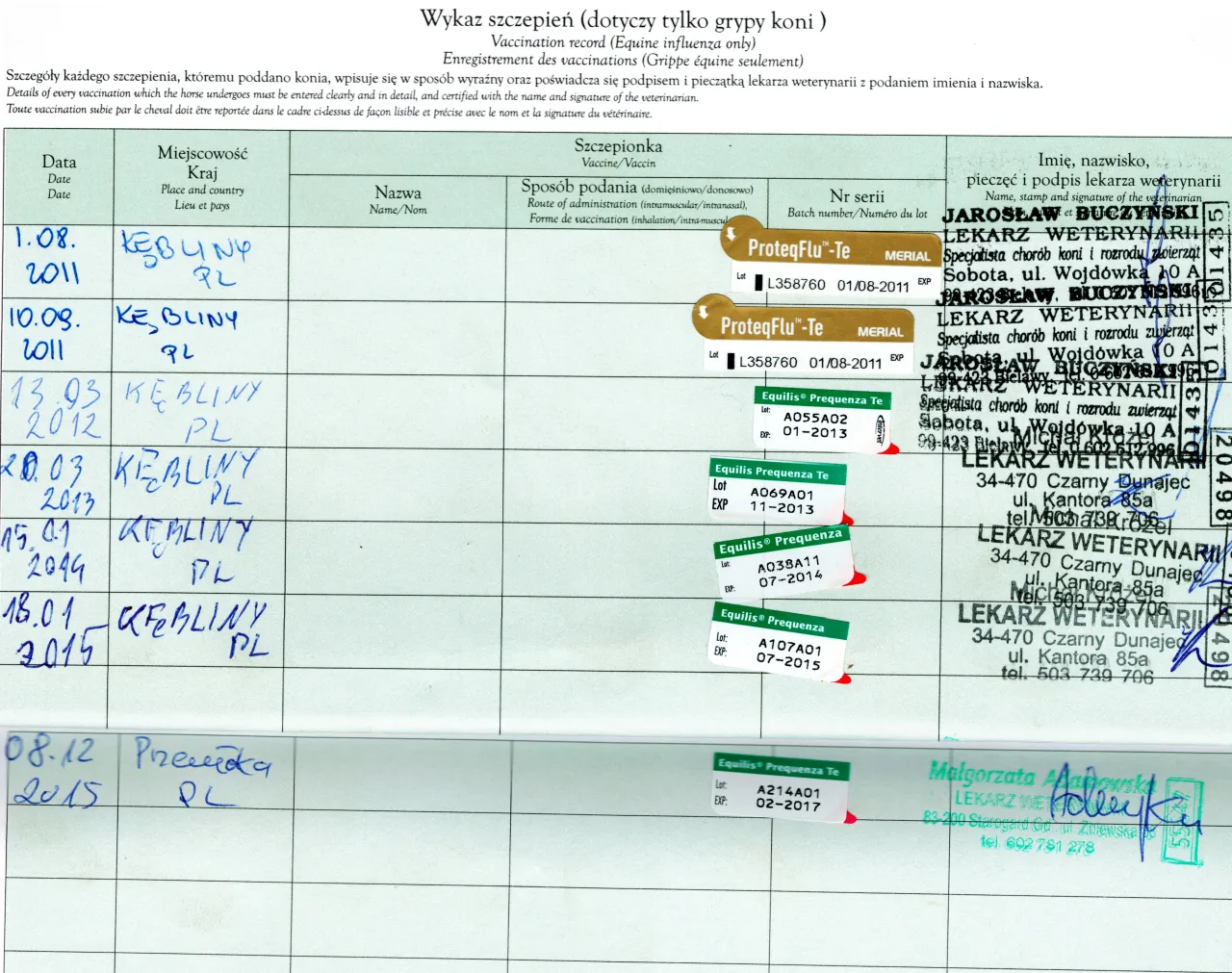 proces wyrabiania paszportu dla konia schemat