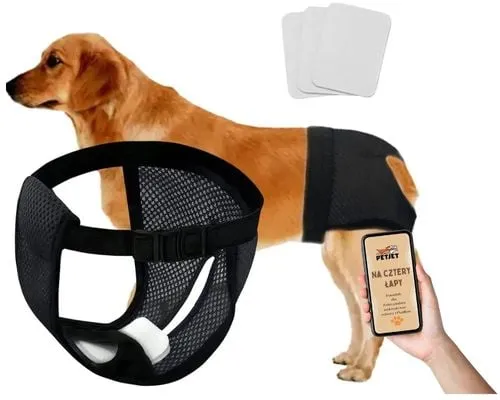 Wykroje na majtki dla psa na cieczkę