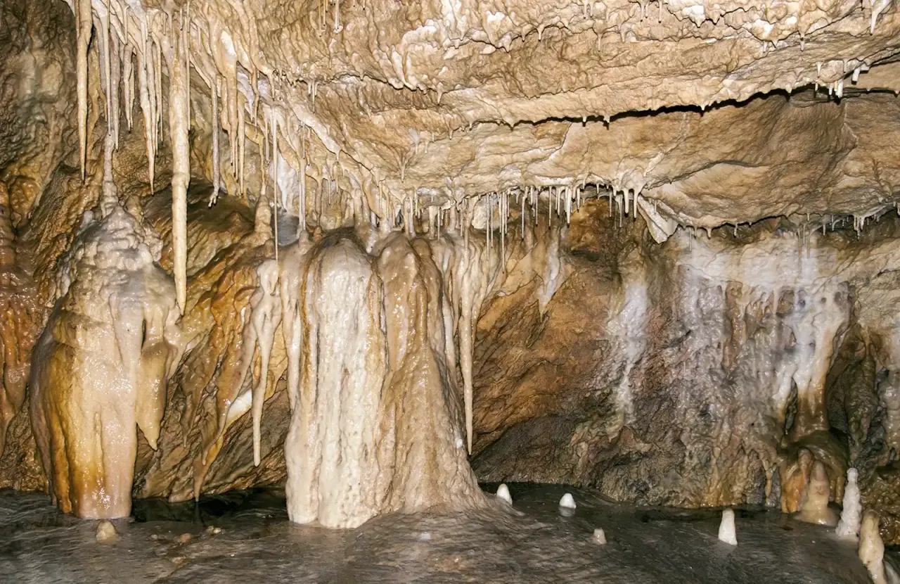Jaskinia Niedźwiedzia w Kletnie formacje skalne stalaktyty