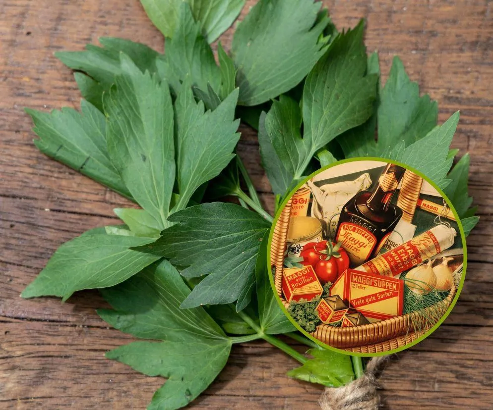 Zdjęcie Jak zrobić domowym sposobem Maggi: prosty przepis krok po kroku