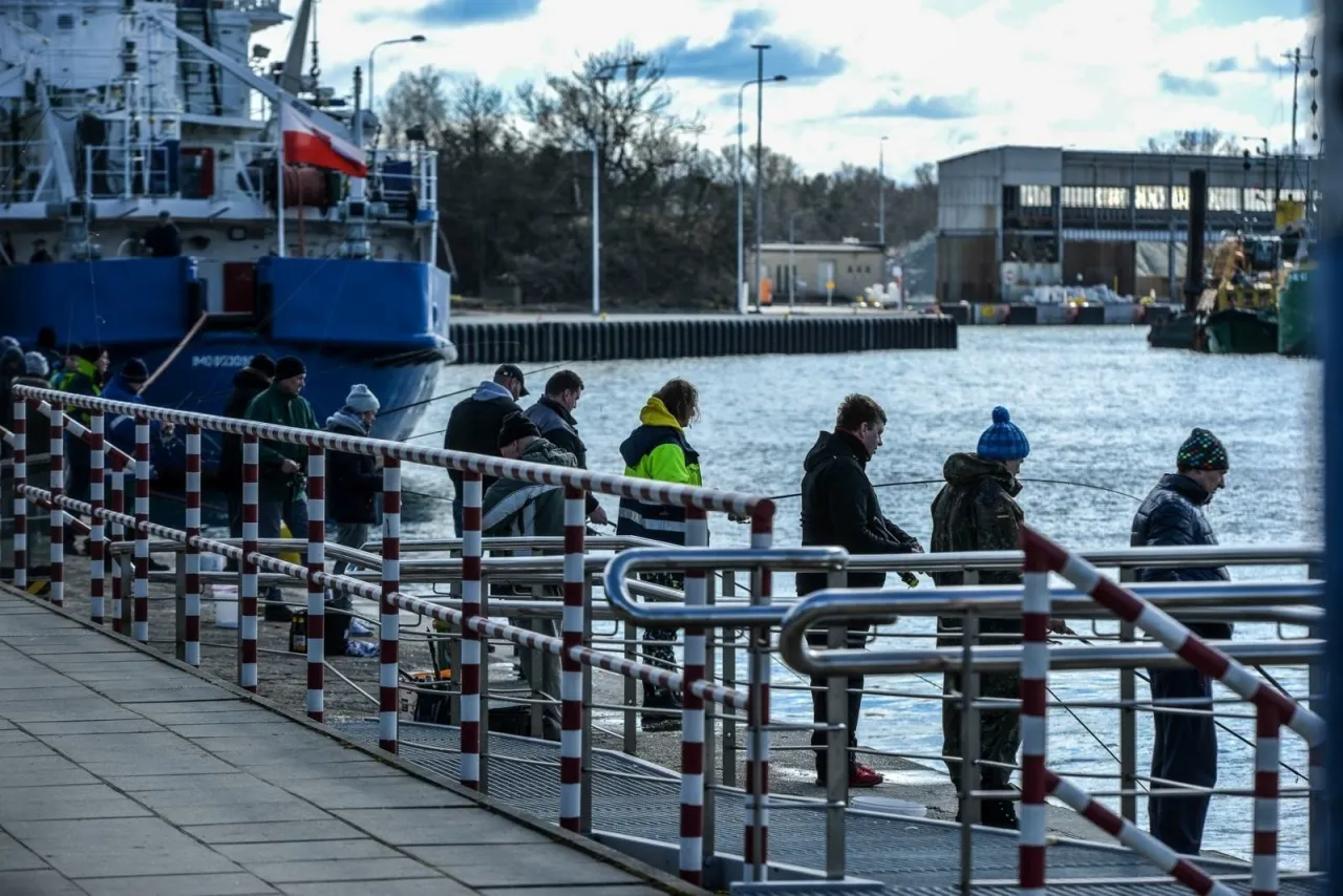Zdjęcie Kiedy łowić śledzie w Bałtyku: najlepsze okresy i techniki połowu 2025