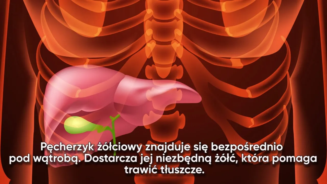 Zdjęcie Nerwica woreczka żółciowego objawy: jak rozpoznać i złagodzić dolegliwości