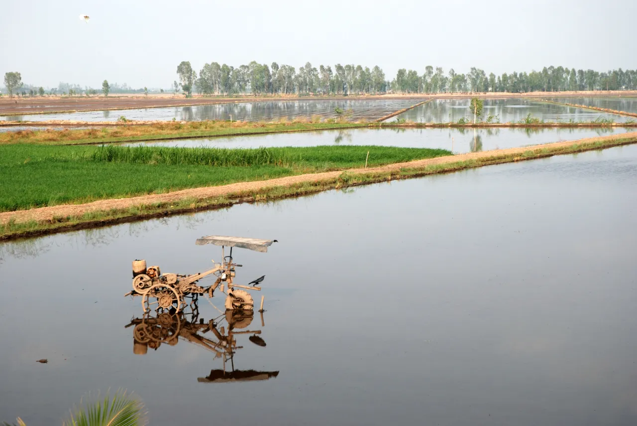 Zdjęcie Delta Mekong: największy spichlerz Azji zagrożony zmianami klimatu