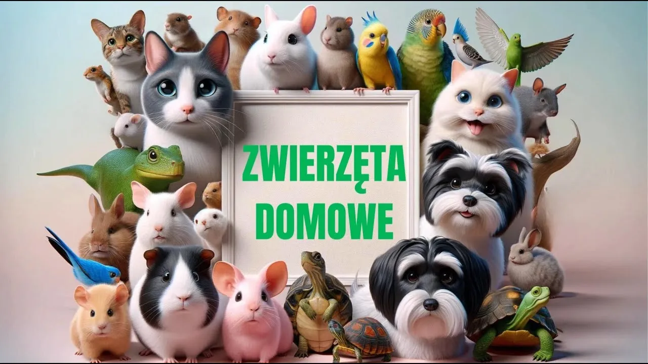 Zdjęcie Jak dbać o zwierzęta domowe - edukacyjny film pełen cennych wskazówek