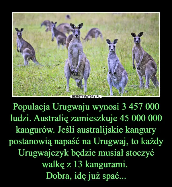 Zdjęcie Czy kangury są zagrożone wyginięciem? Przyczyny i ochrona populacji kangurów