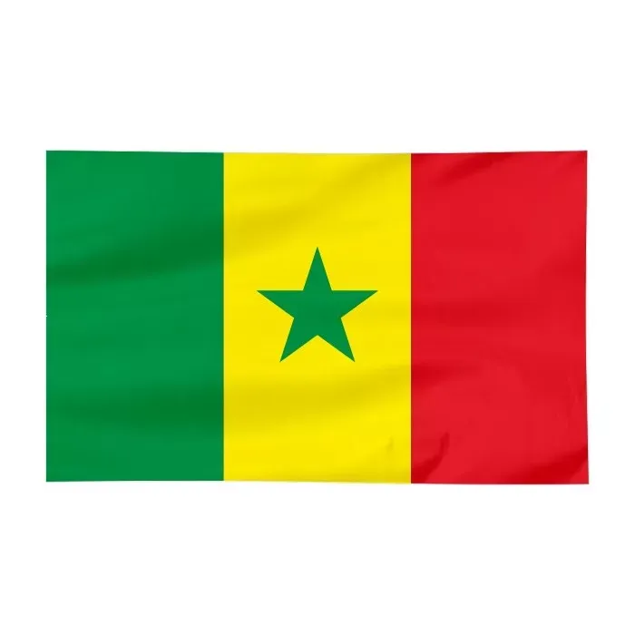 Zdjęcie Jak wygląda flaga Senegalu? Odkryj jej piękno i znaczenie kolorów
