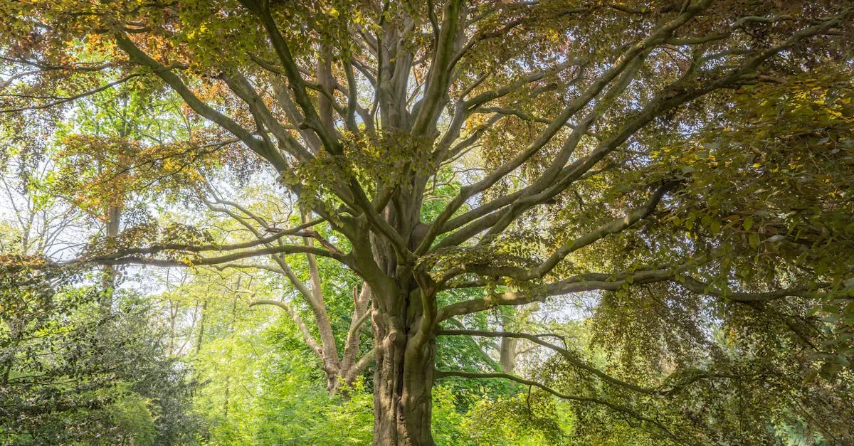 Zdjęcie Jakie tajemnice kryje drzewo genealogiczne Adama i Ewy? Badamy