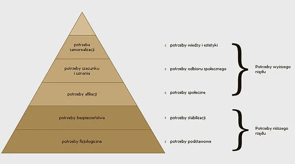 Zdjęcie Co to jest motywacja w psychologii i jak wpływa na nasze życie