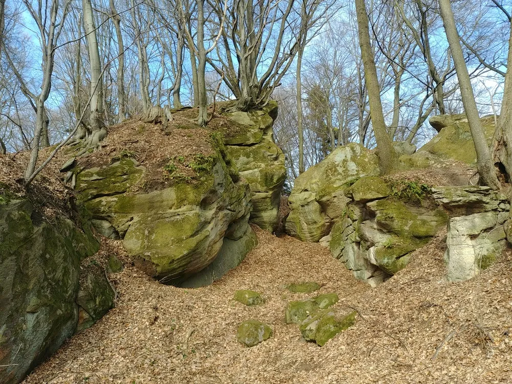 Zdjęcie Rezerwat przyrody Golesz - fascynujące formacje i bogata fauna