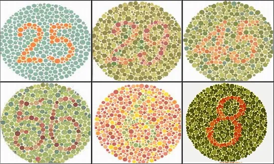 Zdjęcie Daltonizm: Przyczyny, objawy, rodzaje i jak sobie radzić