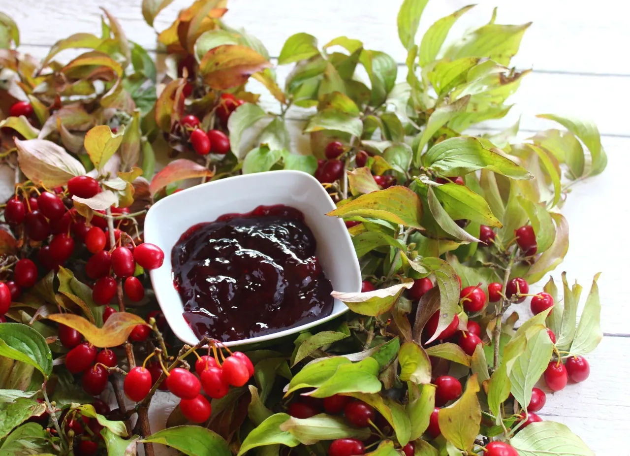 Zdjęcie Co można zrobić z derenia oprócz nalewki? Smakowite przepisy i porady