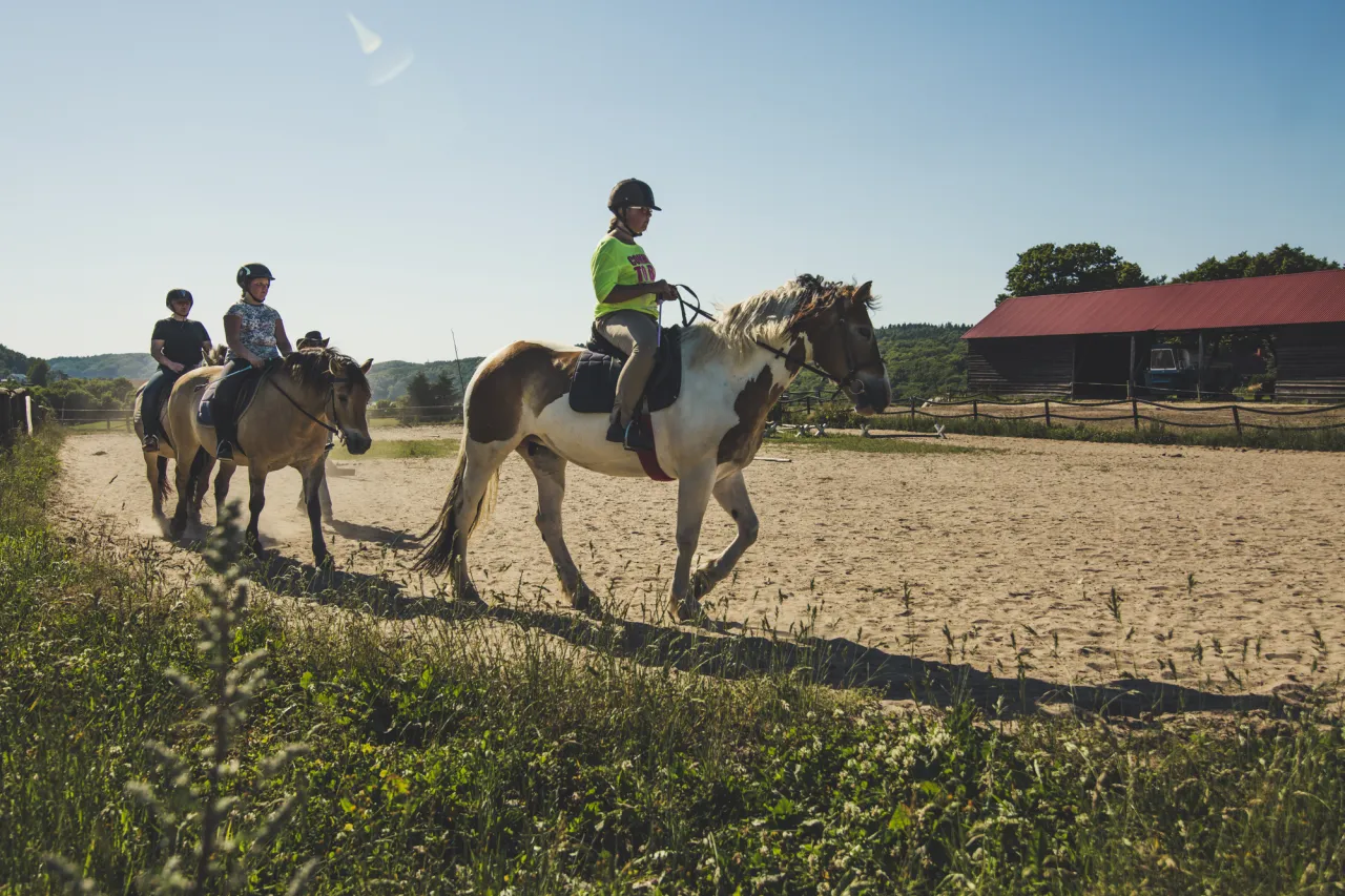 stadnina koni Konin jazda konna