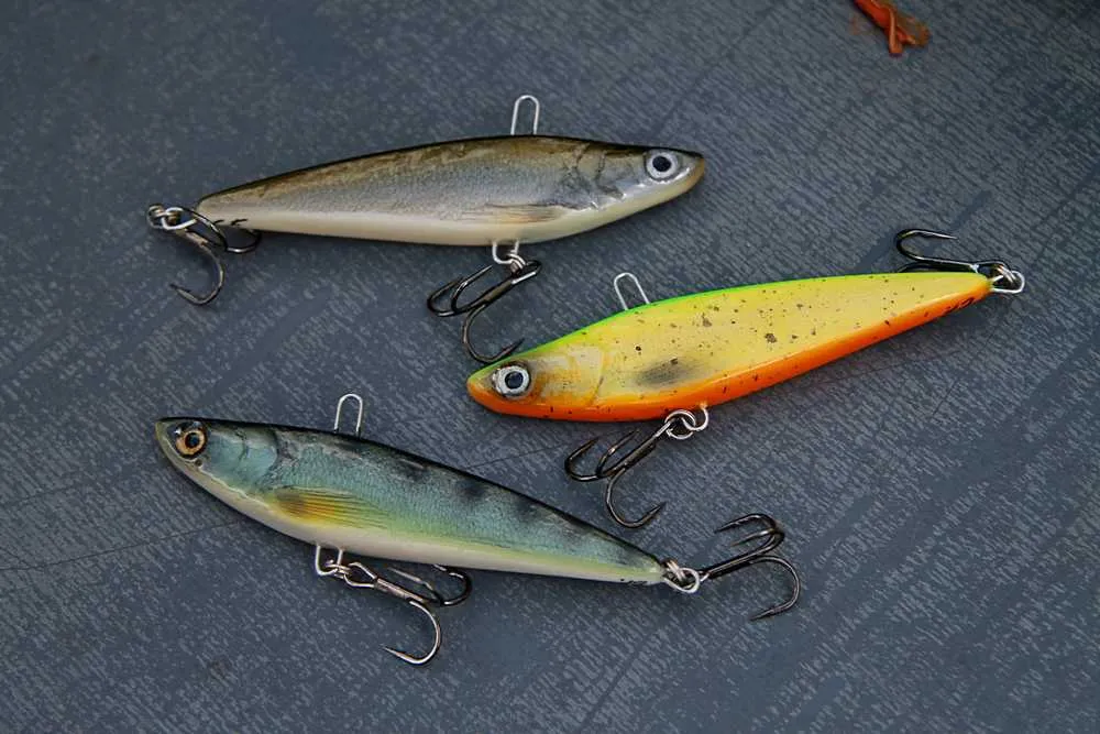 woblery koguty mandule cykady na sandacza