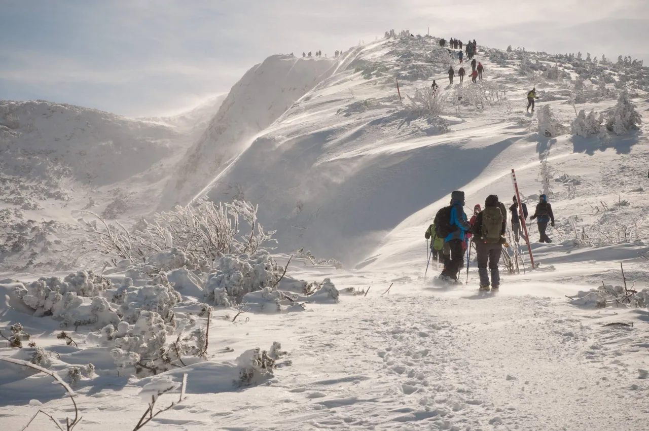 Babia Góra widok szczyt Diablak