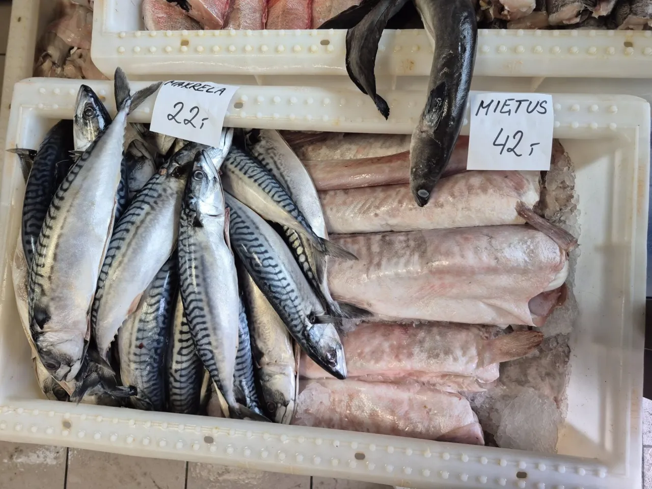 ryby bałtyckie świeże na targu