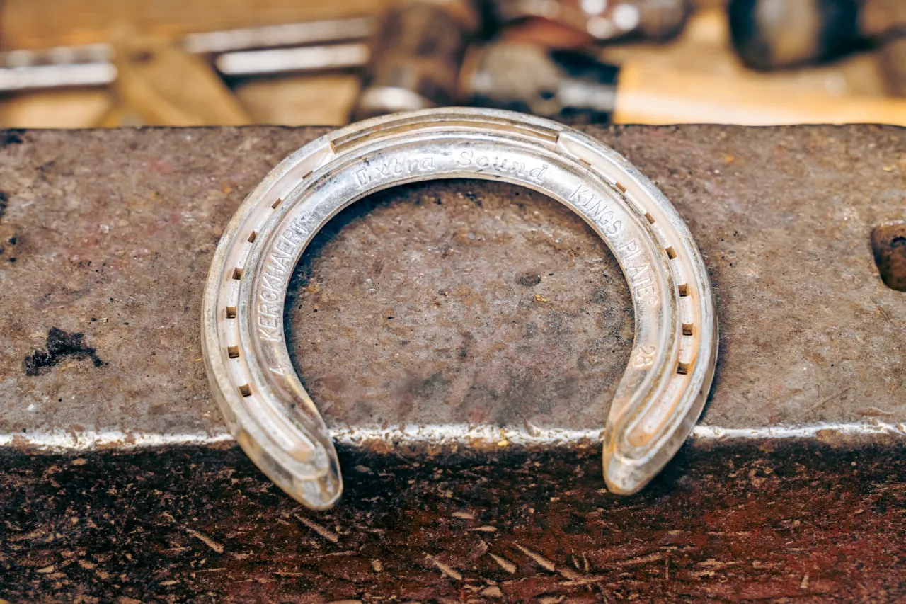 Różne rodzaje podków