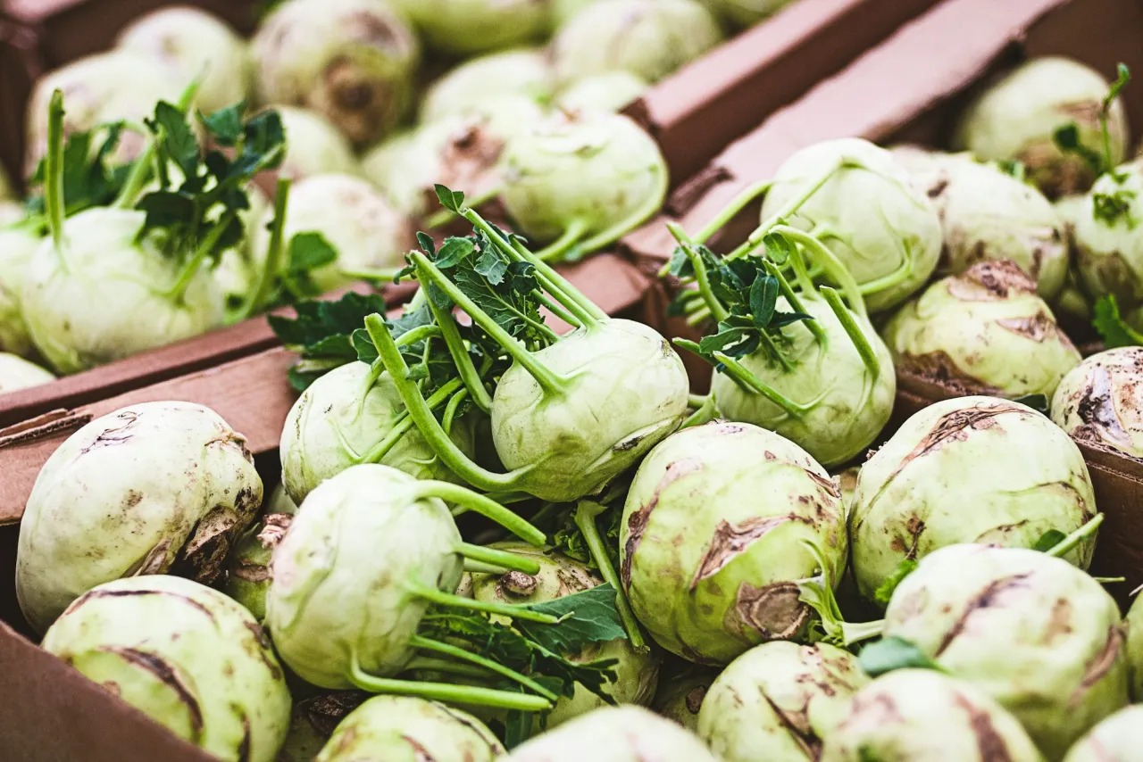 Świeża kalarepa i pokrojona kalarepa do mrożenia