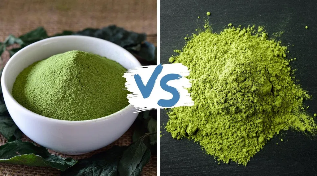 Matcha powder and green tea leaves comparison
