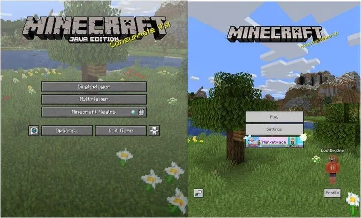 Minecraft Java Bedrock porównanie wymagań