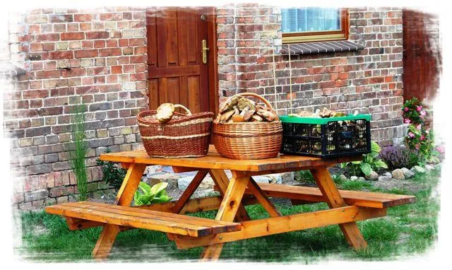 Agroturystyka dla grzybiarzy z suszarnią